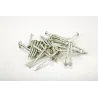 Roof Screw Econo 75mm X 100,  - Cashbuild