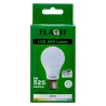 Globe Led A60 5W B22 4000K Fl,  - Cashbuild