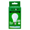 Globe Led A60 9W B22 6000K Fl,  - Cashbuild