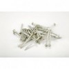 Roof Screw Econo 90mm X 100