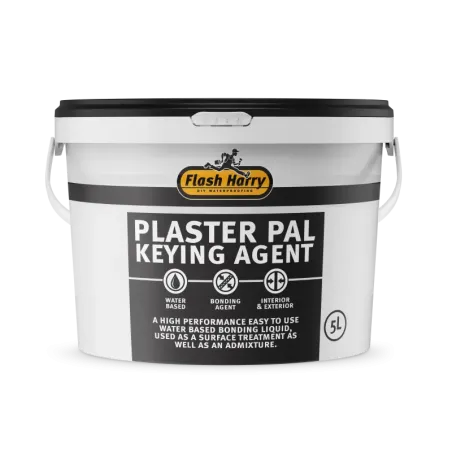Plaster's Pal 5Lt, Flash Harry - Cashbuild