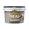 Slurry Seal 5kg Kit, Flash Harry - Cashbuild