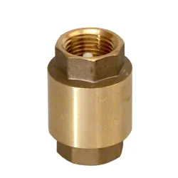 Non Return Spring Valve Half Inch Sw