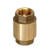 Non Return Spring Valve Half Inch Sw