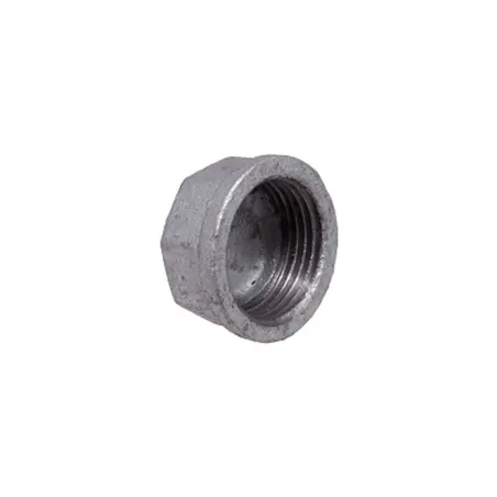 Galvanised Round Cap 22mm,  - Cashbuild