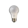 Globe Led A60 10W E27 6000K Kl,  - Cashbuild