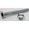 Eureka Set Screw & Nut Galvanised 12x100mm Quantity:4