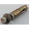 Eureka Expansion Wall Anchor Bolt 5x50mm Quantity:6