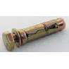 Eureka Expansion Wall Anchor Bolt 10x70mm Quantity:2