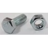 Eureka Set Screw & Nut Galvanised 6x16mm Quantity:20