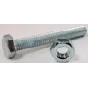 Eureka Set Screw & Nut Galvanised 10x75mm Quantity:8
