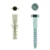 EUREKA COACH SCREW AND PLUG 10x75mm P12 Quantity:20 - Cashbuild