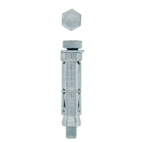 Eureka Expansion Wall Anchor Bolt 8x60mm Quantity:4