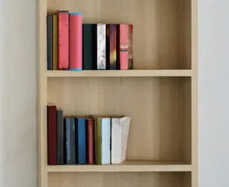 Books and Bits