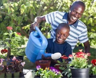 Go Greener this Summer