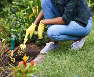Get Your Garden Going