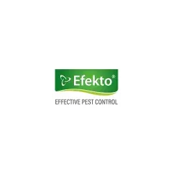 Efekto