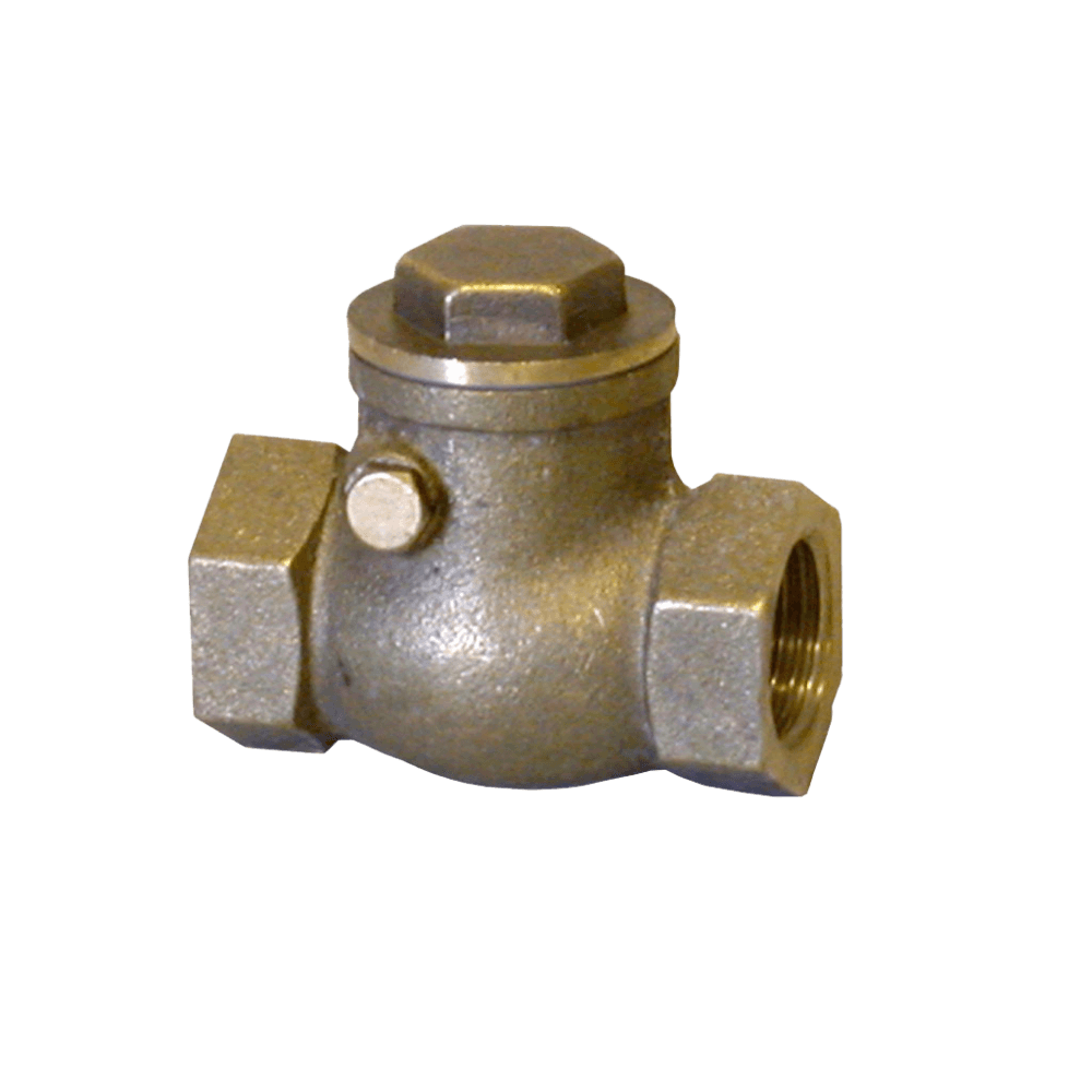 Valve Non Return Swing Check, Cashbuild