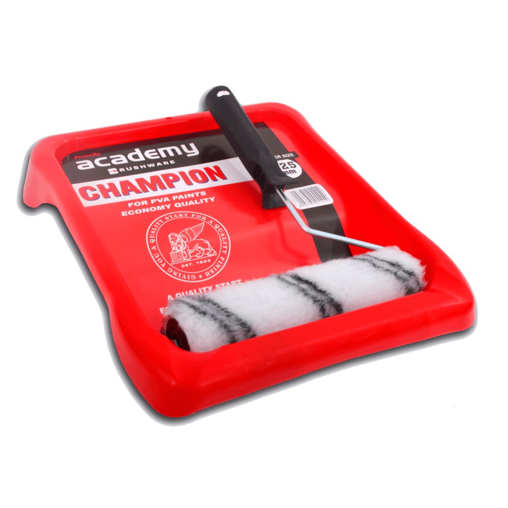 Paint Shop in South Africa Cashbuild (3)