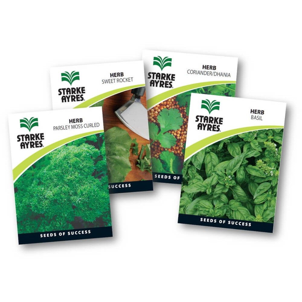 Seed Herb Variety Packet All Year Round