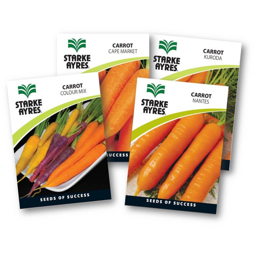 Seed Carrot