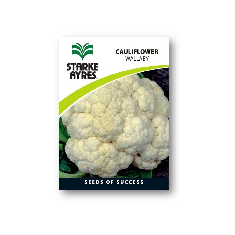 Seed Cauliflower