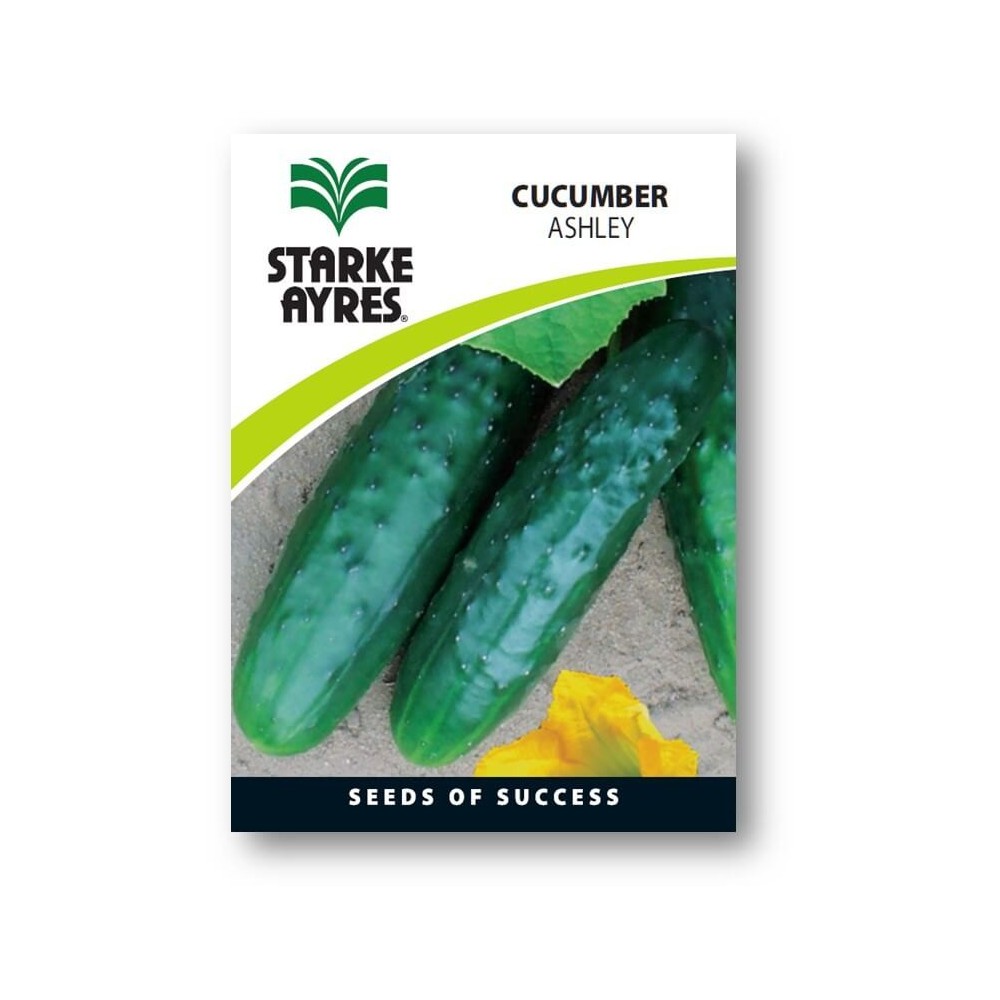 Seed Cucumber