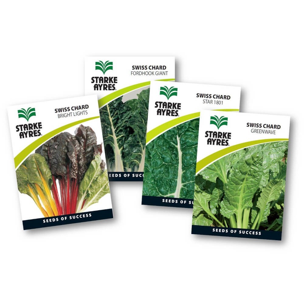 Seed Swiss Chard