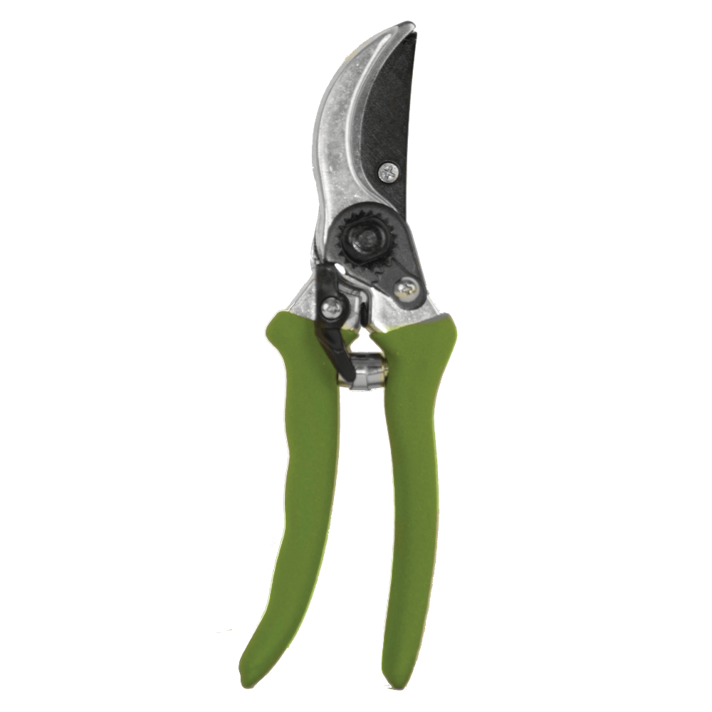 Garden Pruning Shear, FRAGRAM Cashbuild