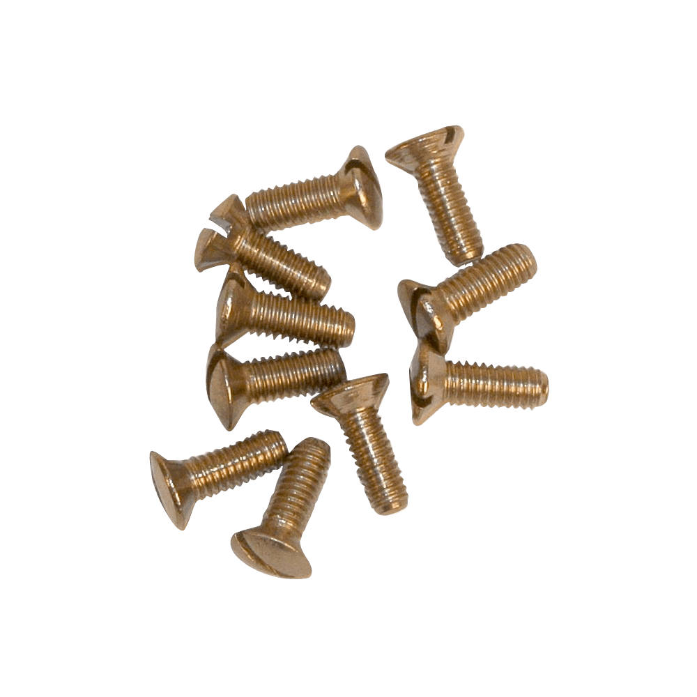 Cover Plate Screw 3.5x12mm Quantity10, Cashbuild