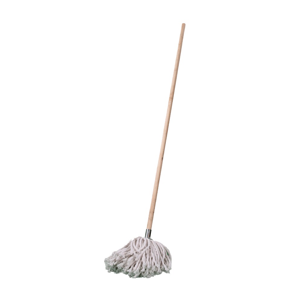Mop And Handle W4