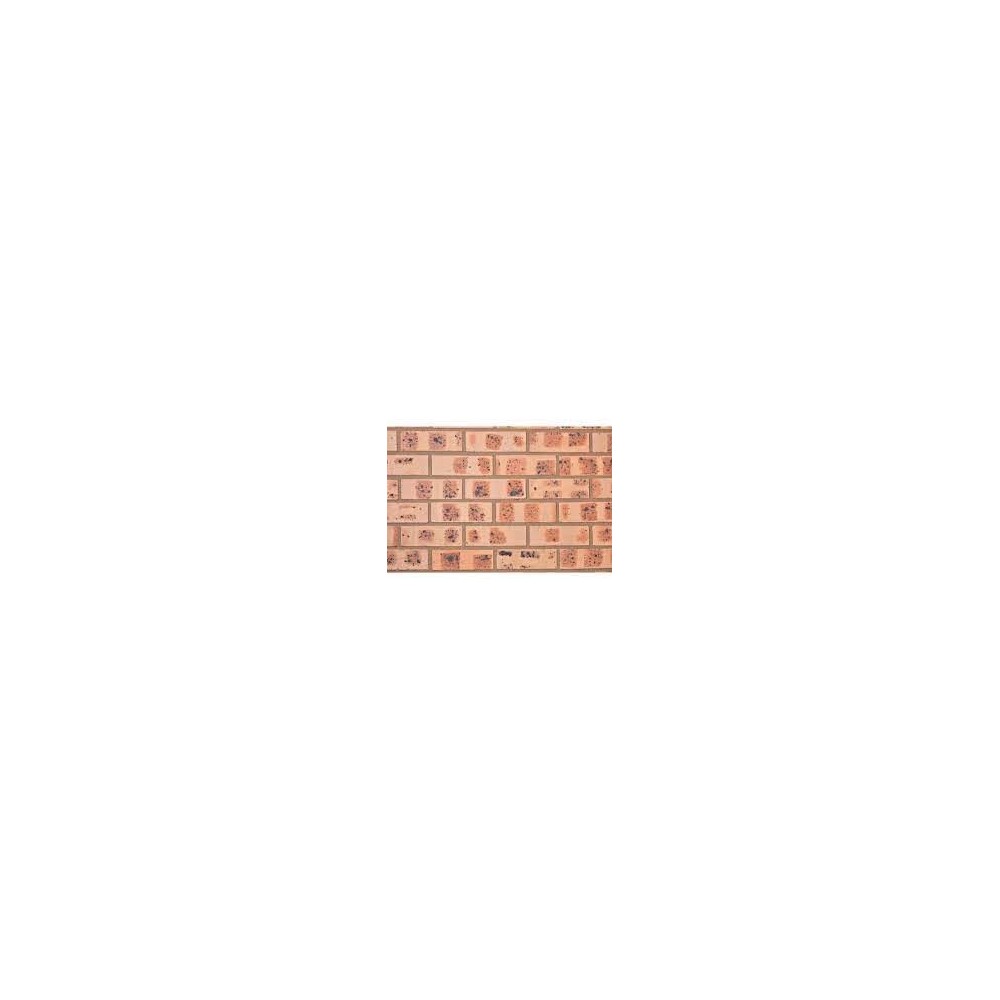 Brick Fynbos Geel