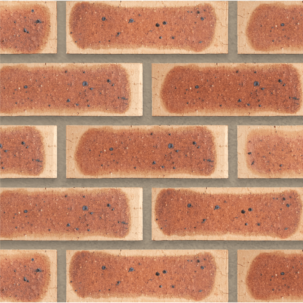 Face Brick Autumn Wheat Satin Fbs, COROBRIK Cashbuild