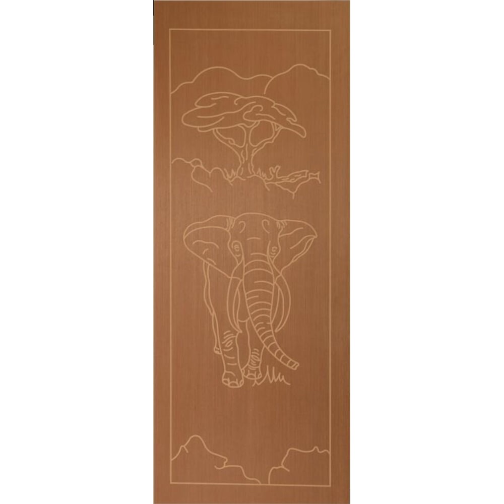 Medium Duty Elephant Door, SOLID DOORS Cashbuild