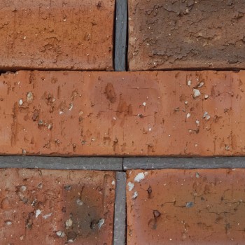 Brick Clay Plaster Nfx